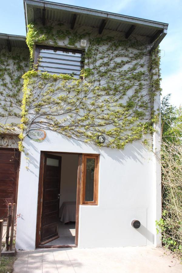 Appartement Casita Moderna Frente Al Bosque à Mar del Plata Extérieur photo